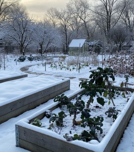 Hochbeet im Winter